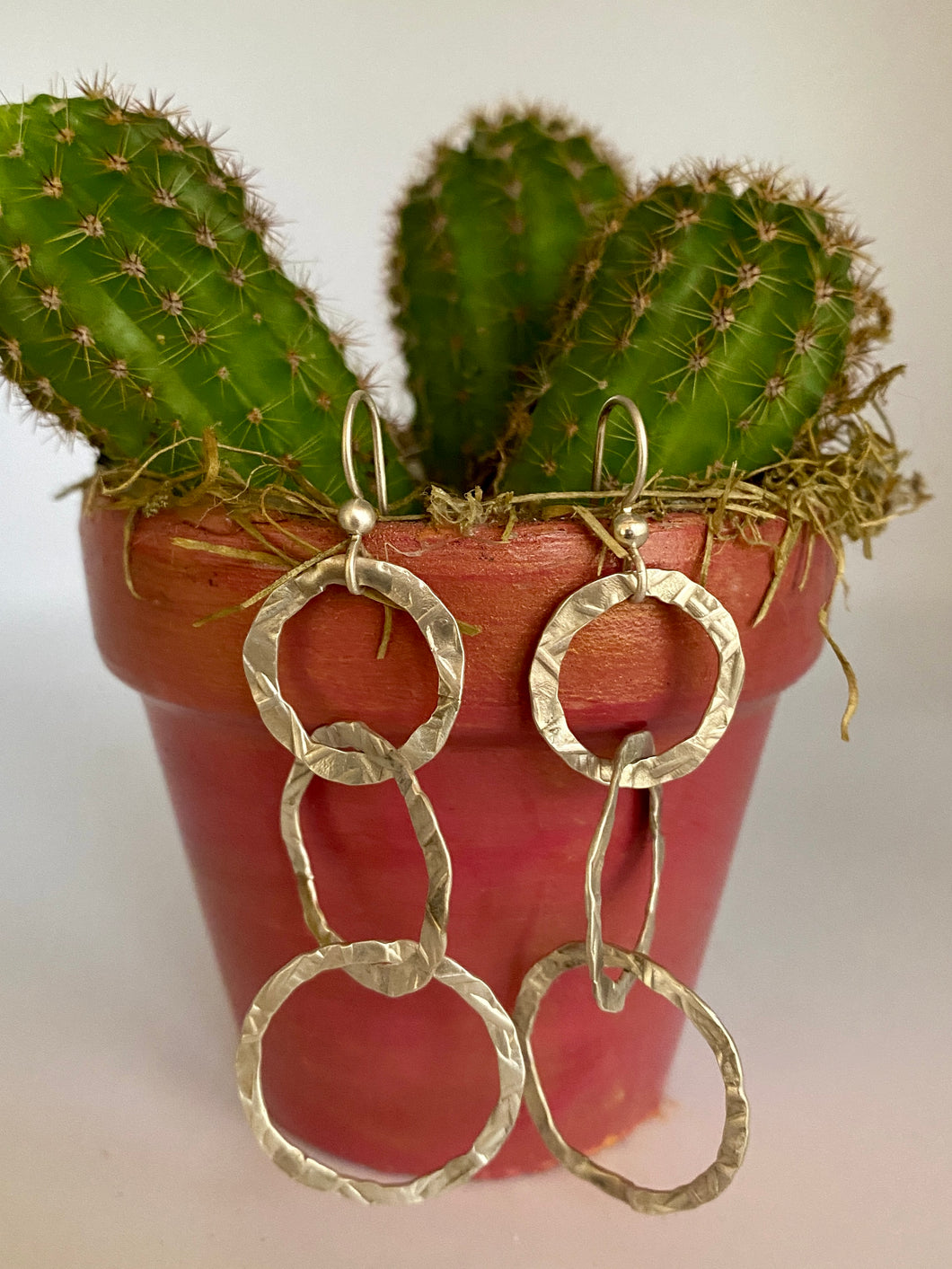 Circles Brushed Sterling Silver Earrings